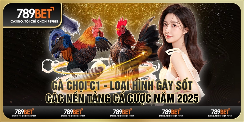 Gà chọi C1 - Loại hình gây sốt các nền tảng cá cược