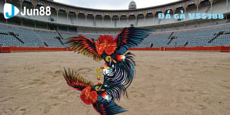 Phân tích luật chơi đá gà VSS388