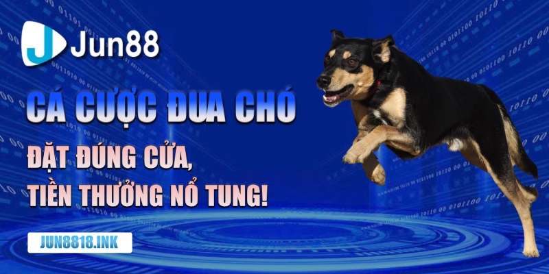 Cá cược đua chó