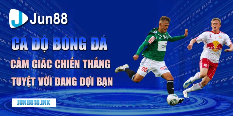 bí kíp cá độ bóng đá